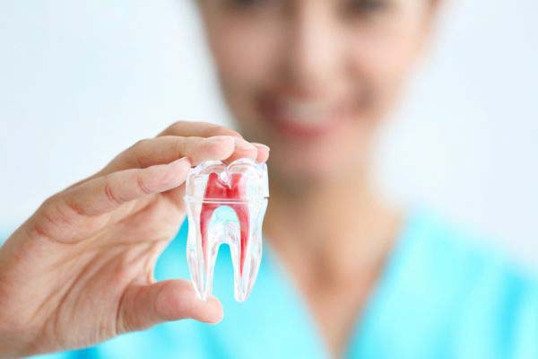 Root Canal Procedure And Misconceptions
